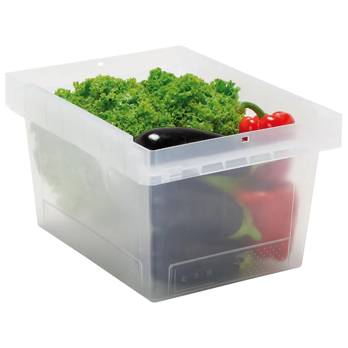 Clear Polypropylene Stack Rail Container