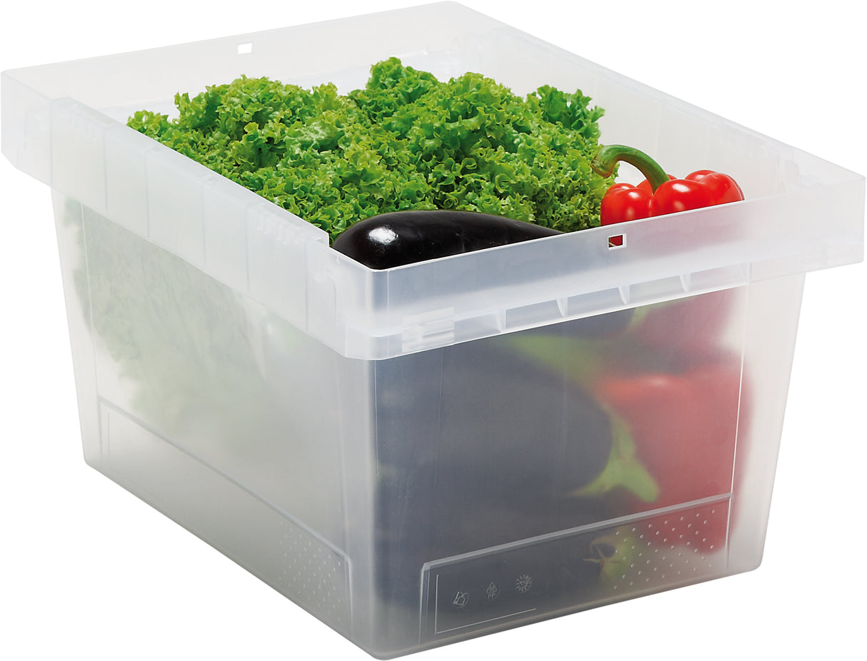 Clear Polypropylene Plain Container