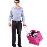 box trolley in use